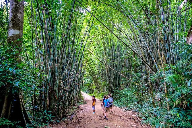 1 Day Khao Sok Jungle Safari and 2 Days Cheow Lan Lake Explorer from Krabi - The Khao Sok River and the “see it with your eyes” factor