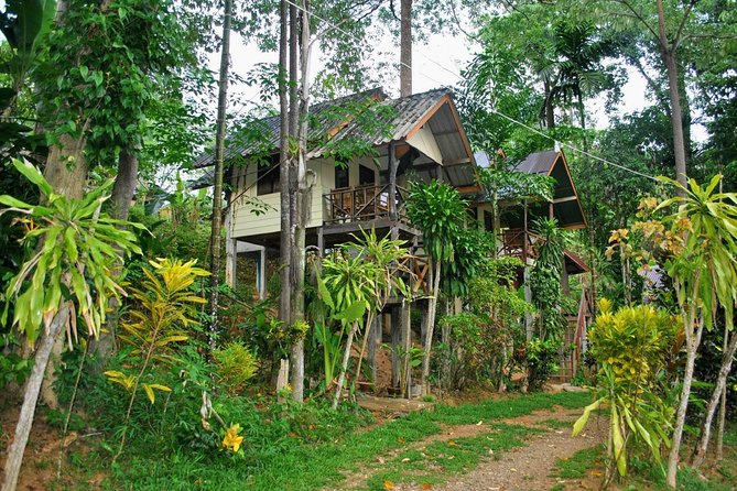 1 Day Khao Sok Jungle Safari and 2 Days Cheow Lan Lake Explorer from Krabi - Lake exploration: boats, swimming breaks, and cave time