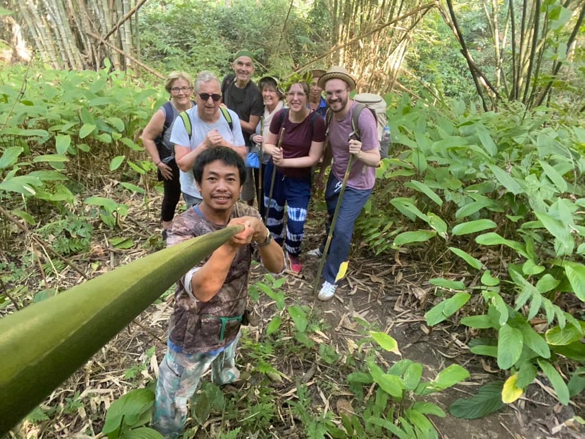 1 Day trekking : Chiang Rai popular activity,Fun in Nature. - From hot spring trailhead to Lisu village: where the forest sets the tone
