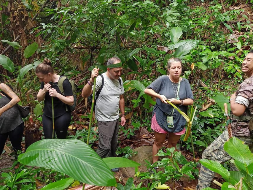 1 Day trekking : Chiang Rai popular activity,Fun in Nature. - Chinese hill tribe village and tea plantation: a slower pace with useful context