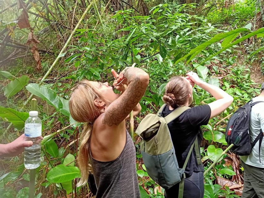 1 Day trekking : Chiang Rai popular activity,Fun in Nature. - Akha and Lahu villages, farms, and the walk back toward the hot spring
