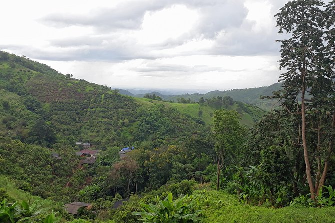 1 Day Trekking Group Tour With Bamboo Cooking / Chiang Rai - A day of jungles, villages, and hot-water breaks in Chiang Rai