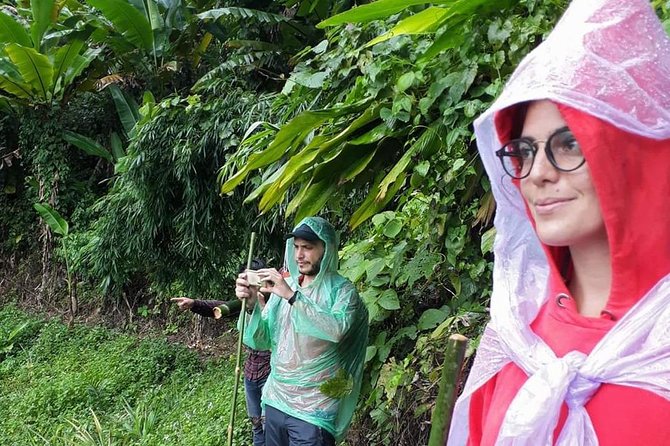 1 Day Trekking Group Tour With Bamboo Cooking / Chiang Rai - Price and logistics: what you get for $58.66 in Chiang Rai