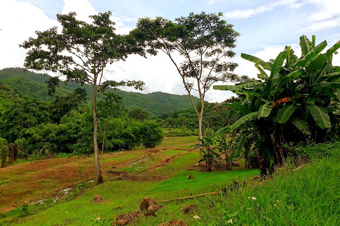 1 Day Trekking Group Tour With Bamboo Cooking / Chiang Rai - What to pack so the day stays fun (not just survivable)