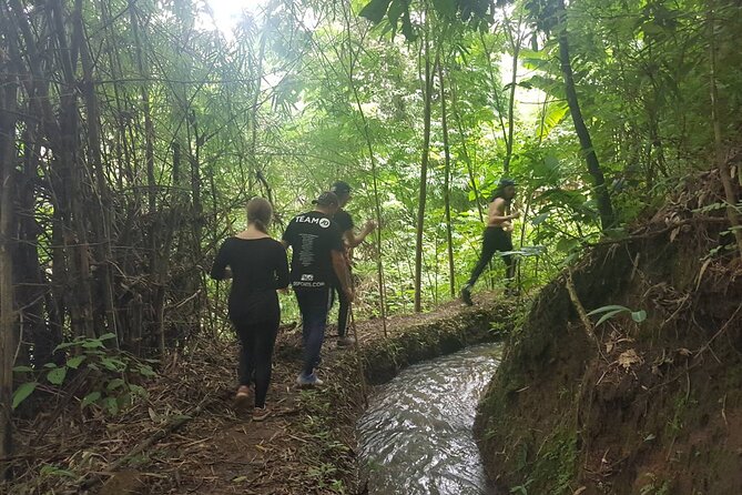 1 Day Trekking in Chiang Mai - Off-Tourist Trekking in Chiang Mai Province (Not the Usual Trail)