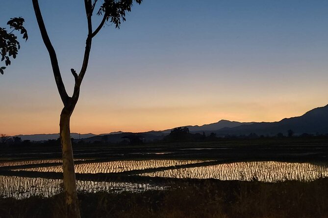 1 Day Trekking in Chiang Mai - Waterfall Swim: When It Happens and How to Prep