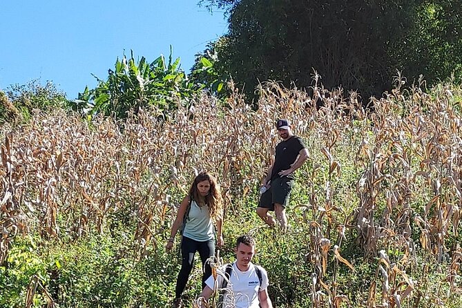 1 Day Trekking in Chiang Mai - Private-Trek Mechanics: Pickup, Mobile Ticket, and a Pace That Fits