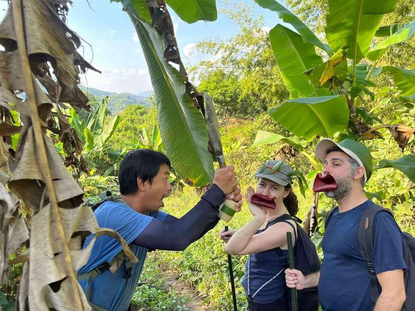 1 Day Trekking in Chiang Rai forest (walk only) - Huai Kaew Waterfall: the swim stop and the practical stuff