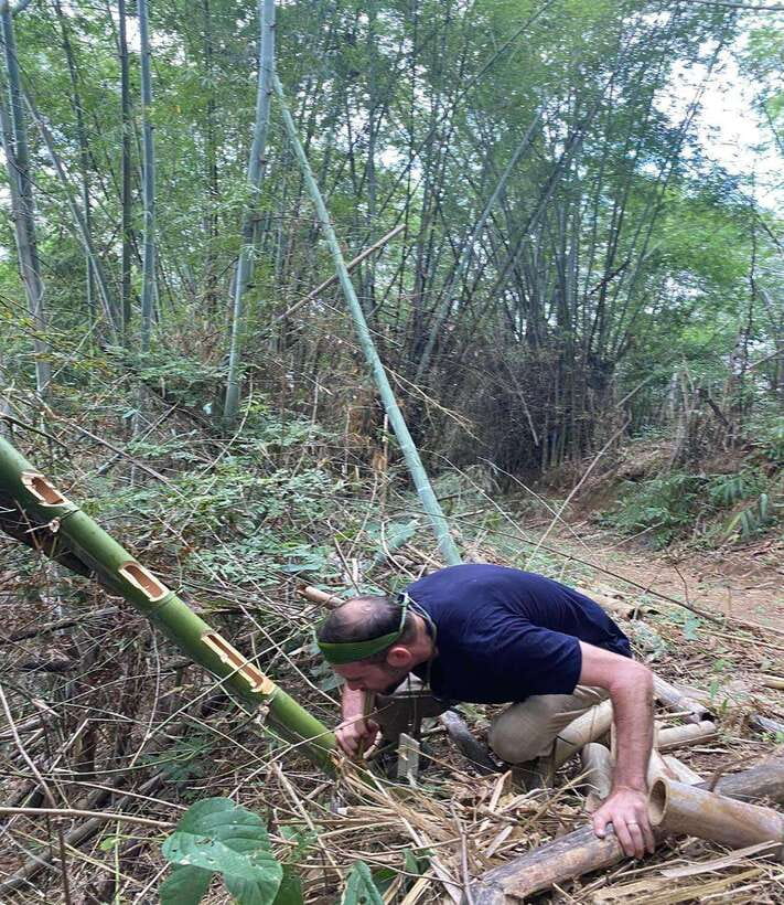 1 Day Trekking in Chiang Rai forest (walk only) - Bamboo cooking lunch: making food with your hands