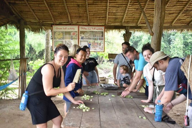 2 day 1 night Elephant World Kanchanaburi from Bangkok - Day 2: walking into the forest, a mountain hike, and early bird watching