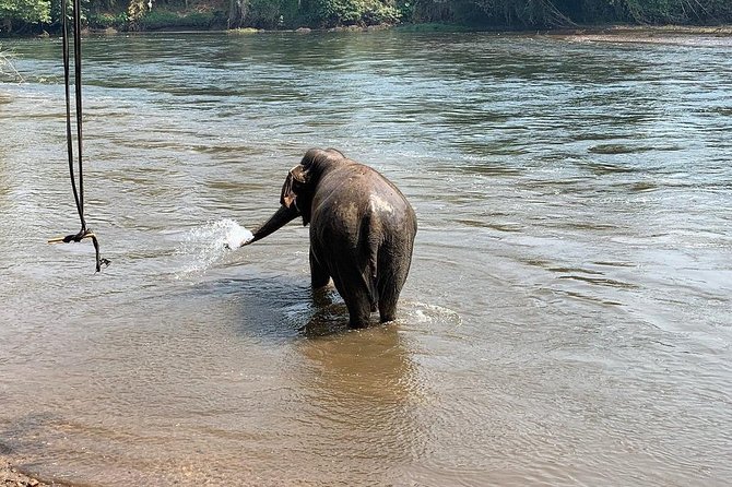2 day 1 night Elephant World Kanchanaburi from Bangkok - Price and value: what you’re really paying for ($405.52)