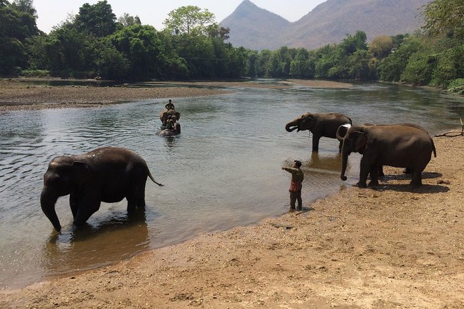 2 day 1 night Elephant World Kanchanaburi from Bangkok - Who should book this Elephant World Kanchanaburi 2-day stay