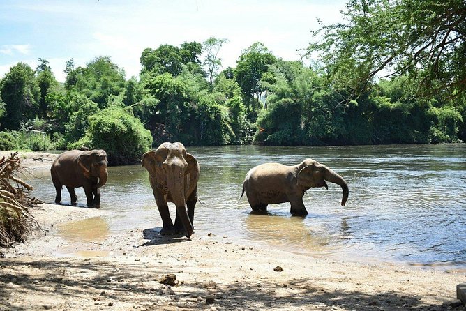 2 day 1 night Elephant World Kanchanaburi from Bangkok - Should you book? My take