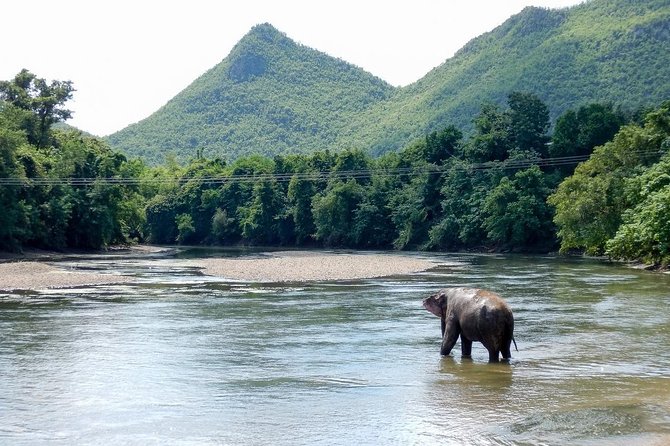 2 day 1 night Elephant World Kanchanaburi from Bangkok - Your night in a traditional Thai cottage: why the forest timing matters