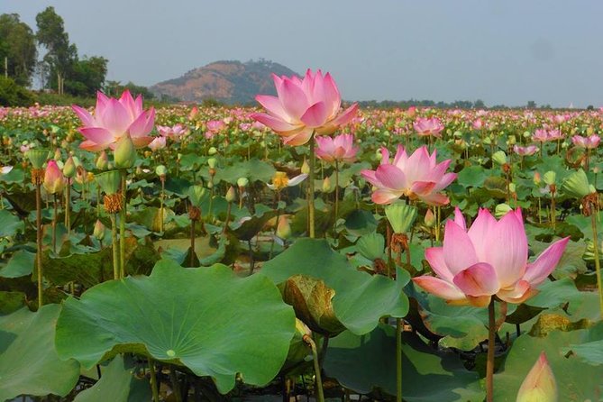 2-Day Angkor Wat Tour from Bangkok - Siem Reap evening: what you do with your free time