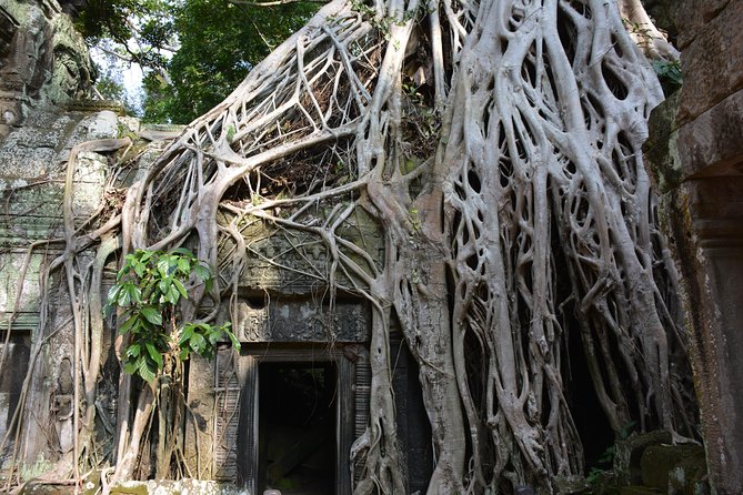 2-Day Angkor Wat Tour from Bangkok - What’s included (and what you should budget) for a smooth trip