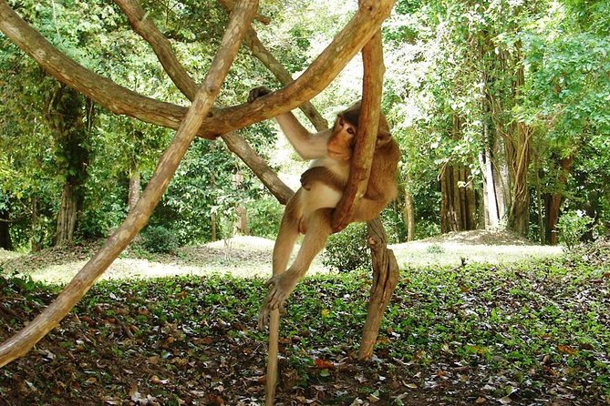 2-Day Angkor Wat Tour from Bangkok - Who should book this private 2-day Angkor tour from Bangkok