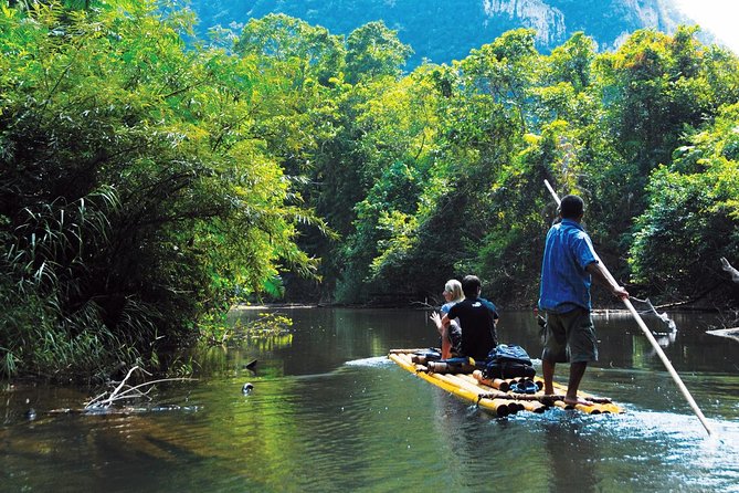 2-Day Khao Sok Jungle Safari from Krabi - Day 2: canoe safari on the Rok River and wildlife time