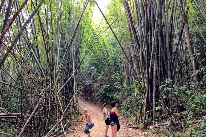 2-Day Khao Sok Jungle Safari from Krabi - Food, coffee, and the guide team: where this tour wins points