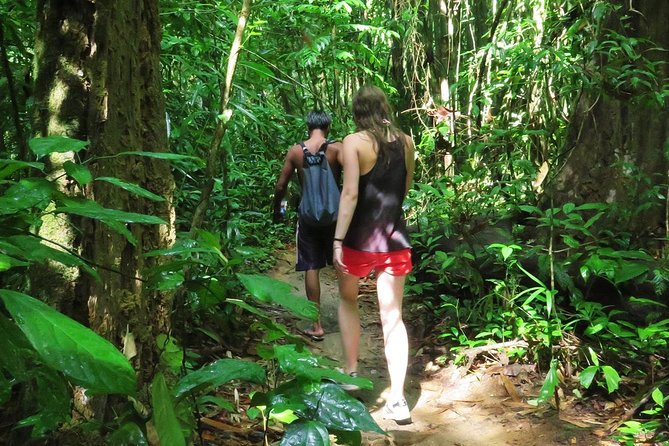 2-Day Khao Sok Jungle Safari from Krabi - The temple detour at Wat Bang Thong: a golden contrast before the jungle
