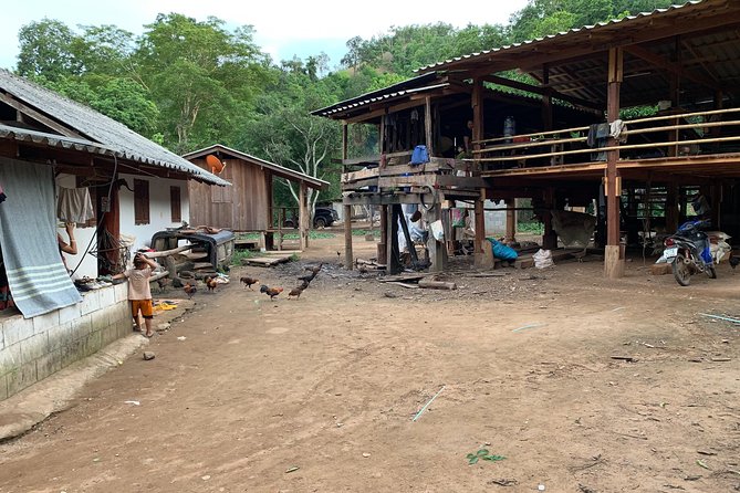 2-Day Kindred Spirit Elephant Sanctuary in Chiang Mai - How Much Walking Is “Moderate” Here?