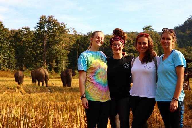 2-Day Kindred Spirit Elephant Sanctuary in Chiang Mai - Who This Tour Suits Best (and Who Should Skip It)