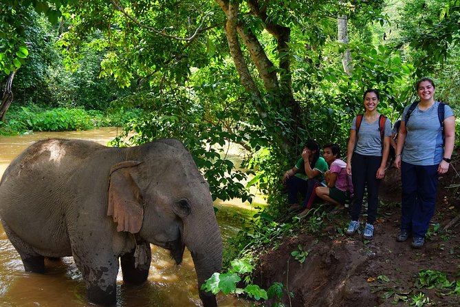 2-Day Kindred Spirit Elephant Sanctuary in Chiang Mai - Settling Into the Homestay: Food, Basics, and How the Night Actually Feels