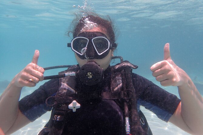 2 Days Diving Trip to Koh Tao Including 4 Dives and Accommodation - Getting from Koh Samui to Koh Tao: easy routing, early wake-up