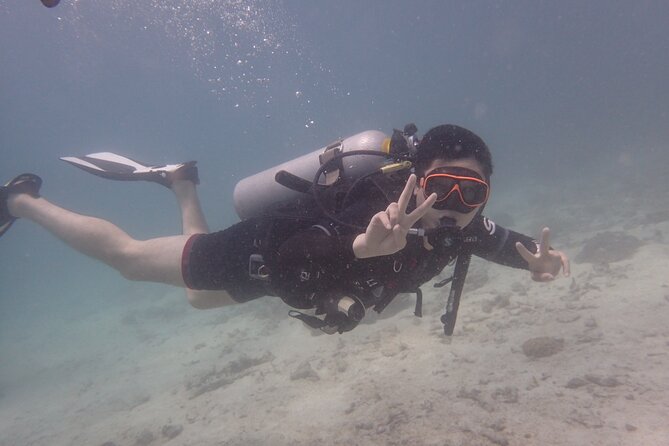 2 Days Diving Trip to Koh Tao Including 4 Dives and Accommodation - Deep-water and wreck-site time: variety for experienced divers