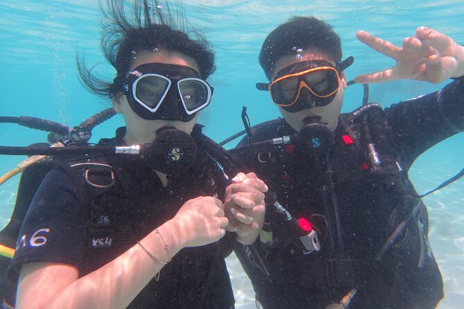 2 Days Diving Trip to Koh Tao Including 4 Dives and Accommodation - Price and value: why $194.55 can make sense