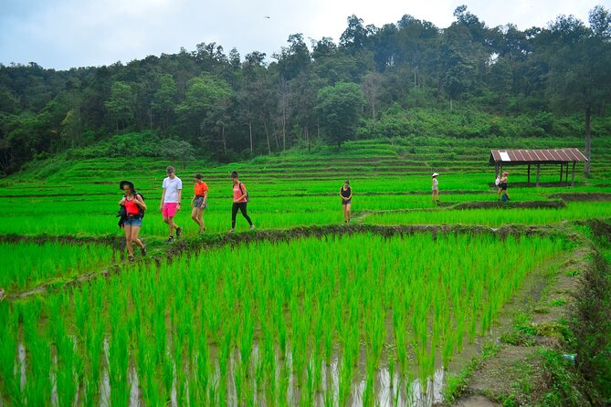 2 Days Hiking Tour in Chiang Mai - Waterfalls and the jungle beach: what to expect when the trail pays off