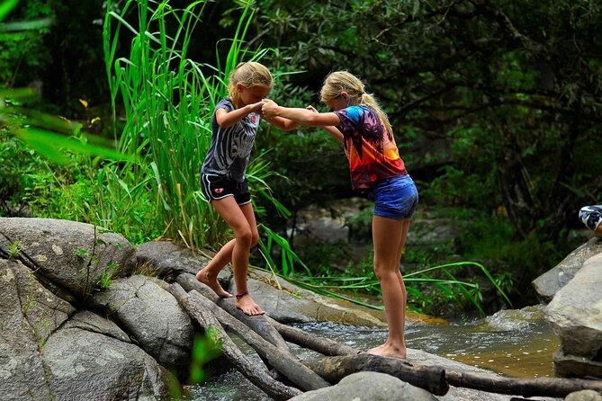 2 Days Hiking Tour in Chiang Mai - Transport, timing, and pacing: why this tour works as a two-day window