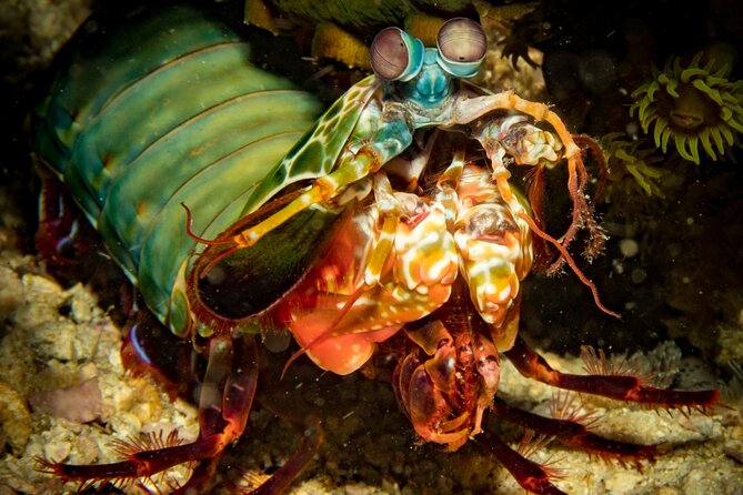 2 Fun Divers for Certified Divers in Thailand - Key highlights you’ll care about