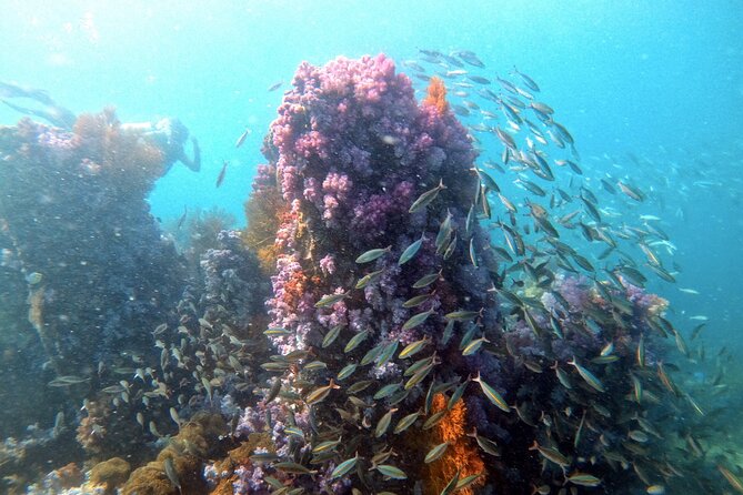 2 Fun Divers for Certified Divers in Thailand - Sunrise Beach to Tarutao Marine Park: why this format works