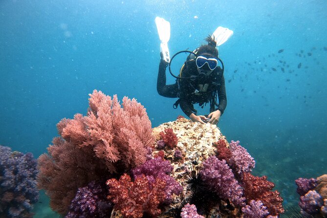 2 Fun Divers for Certified Divers in Thailand - The 5-hour schedule: how the day usually flows