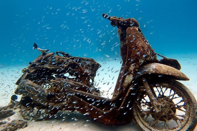 2 Fun Dives in Racha Yai or Noi for Certified Divers - A Long Reef Day Starts at Chalong Pier