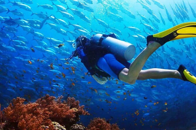 2 Fun Dives in Racha Yai or Noi for Certified Divers - The Boat Setup: Comfort, Safety, and Real Human Coaching