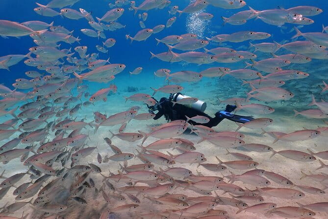 2 Fun Dives in Racha Yai or Noi for Certified Divers - Two Underwater Sessions, Each With a Clear Air Limit