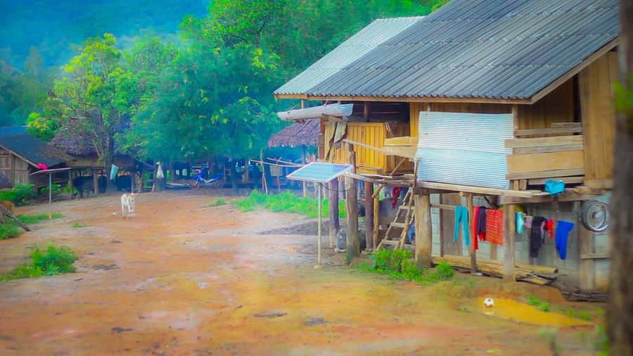 2days 1night : Trekking with Karen people and Doi Inthanon - Day 2: Summit Day at Doi Inthanon and the Trail Mix That Makes It Interesting