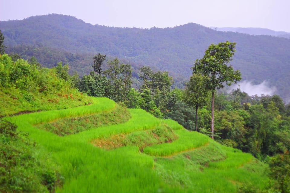 2days 1night : Trekking with Karen people and Doi Inthanon - Trails, Views, and Weather: How to Set Your Expectations
