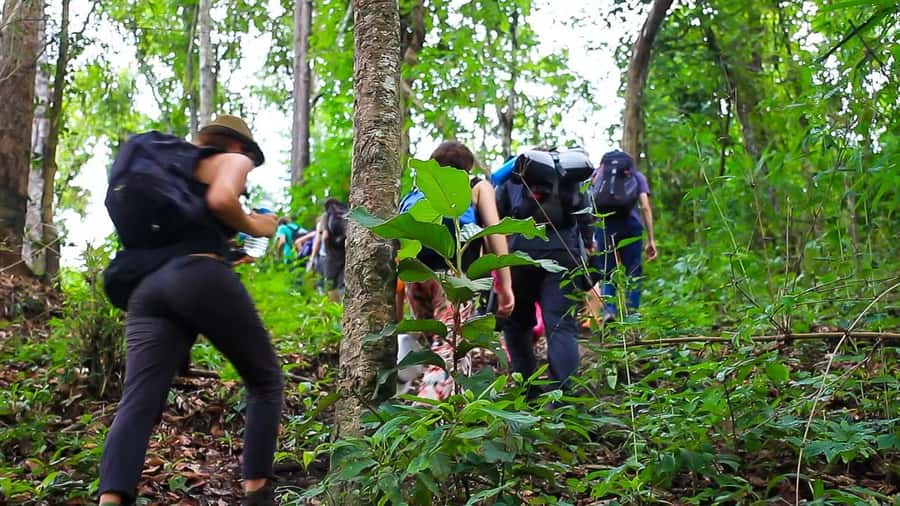 2days 1night : Trekking with Karen people and Doi Inthanon - Day 1: Market Stop, Waterfall Lunch, and Jungle Trek to the Village