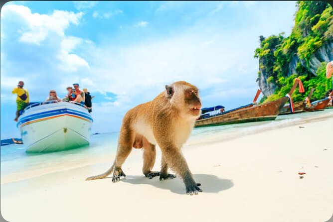 2x Snorkelling Phi Phi, Maiton, Maya Bay, khai islands tour - What to Bring So the Day Feels Easy