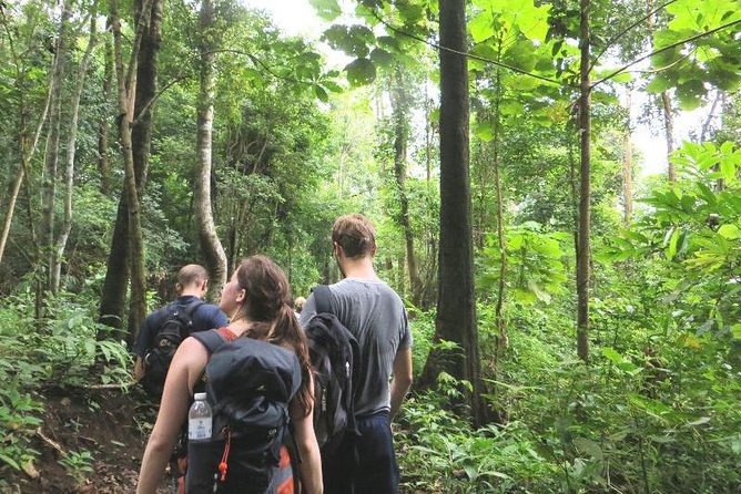 3-Day Chiang Dao Mountain Trek - Chiang Dao trek: why it feels far from the tourist trail