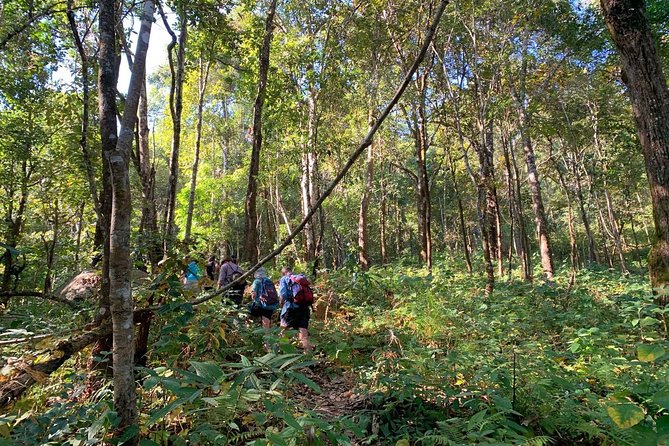 3-Day Chiang Dao Mountain Trek - Homestays and meals: good Thai food, simple rooms, village noise included