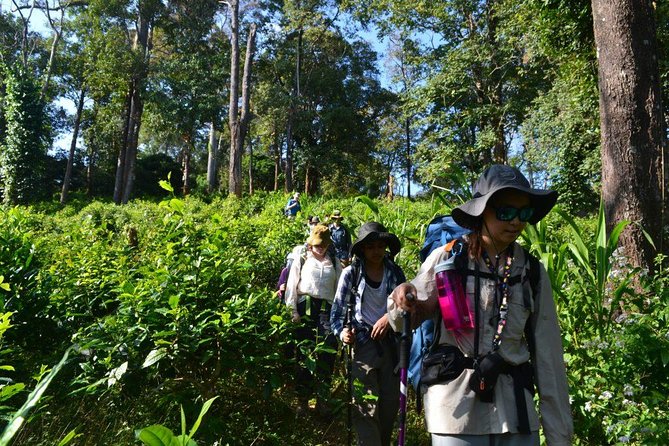 3-Day Chiang Dao Mountain Trek - Price and value: why $256 can make sense for what’s included