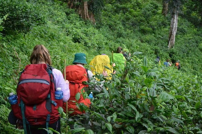 3 Day Motorcycle Tour (Mae Hong Son Loop) from Chiang Mai, Thailand - Day 3: early alms in Pai, the WWII memorial bridge, then the ride back to Chiang Mai