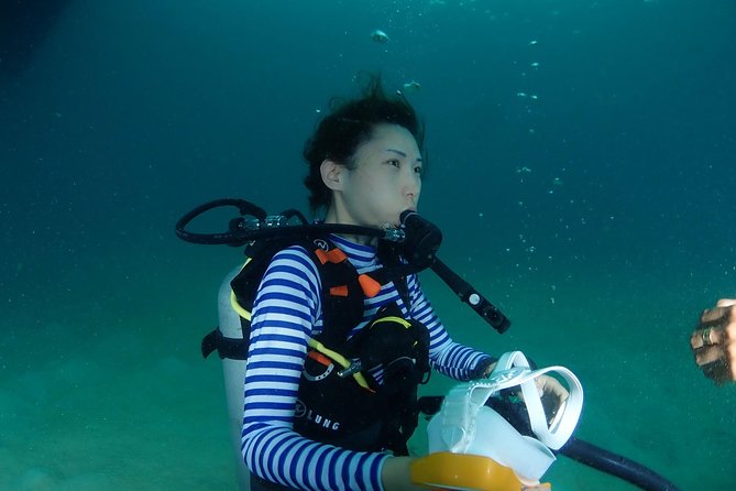 3-Day PADI Open Water Diver Course, Koh Samui - Marine life expectations: fun, but keep the training first