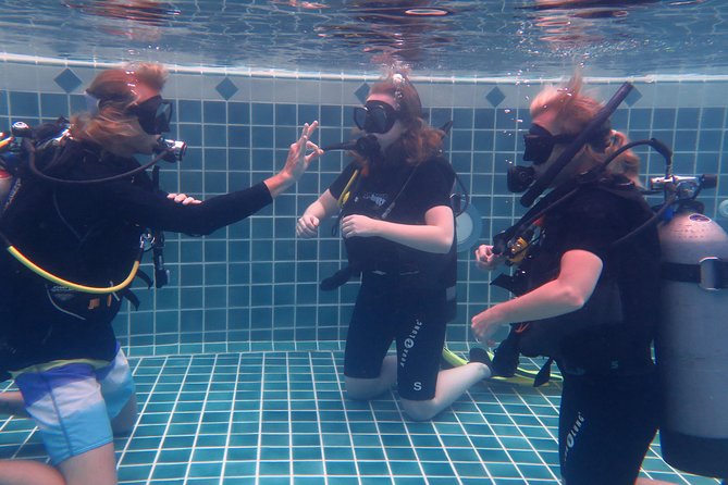 3-Day PADI Open Water Diver Course, Koh Samui - Days 2 and 3: boat sessions with real marine life in the Gulf of Thailand
