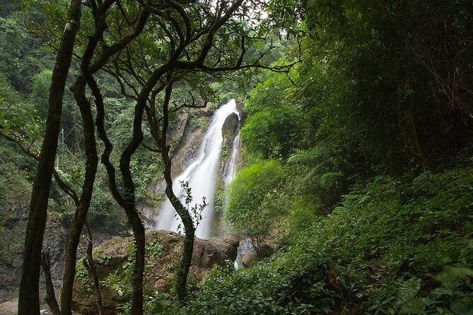 3 Day Phuket to Khao Sok National Park Tour Package - Price and value: what $748.72 buys you (and what it doesn’t)