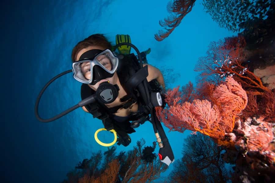 3 Fun Dives for Certified diver at Racha Yai/Noi - Key things that make this trip work